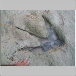 100_0984 (2009-28-07).JPG